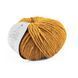Пряжа Silky Wool/Сілкі Вул, медовий 18, Laines du Nord 2413 фото
