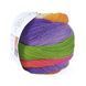 Пряжа Harmonious Sock/Хармоніус Сок, салатовий-фіолетовий-рожевий-червоний-жовтий 11, Laines du Nord 5160 фото
