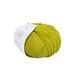 Baby Soft Yarn, light green 25, Laines du Nord