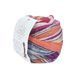 Пряжа Eclectic Sock/Еклектік Сок, мультіколор 04, Laines du Nord 3904 фото
