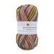 Sockwool Prime Multi Yarn, 1-1, Performance