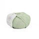 Baby Soft Yarn, green tea 500, Laines du Nord