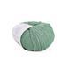 Baby Soft Yarn, wormwood 602, Laines du Nord