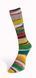 Пряжа Eclectic Sock/Еклектік Сок, мультіколор 01, Laines du Nord 3901 фото 4