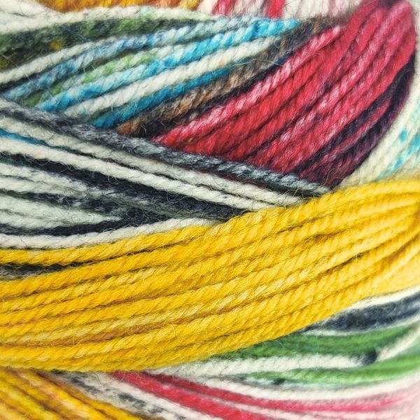 Пряжа Eclectic Sock/Еклектік Сок, мультіколор 01, Laines du Nord 3901 фото
