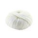 Пряжа Silky Wool/Сілкі Вул, білий 1, Laines du Nord 2399 фото 2
