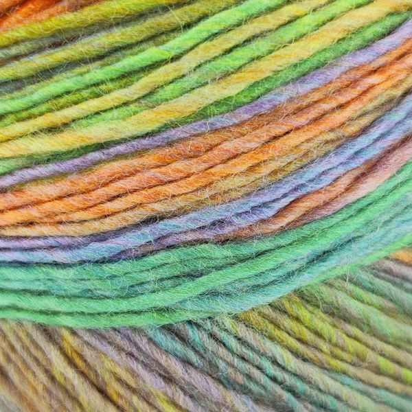 Пряжа Poema Color/Поема Колор, горіховий-блакитний-зелений-помаранчевий мультиколор 703, Laines du Nord 4943 фото