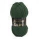 Пряжа Leon/Леон, зелений LN025, Lady Yarn 2509 фото