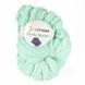 Пряжа Chunky Blanket/Чанкі Бланкет, бірюзовий PL173, Lady Yarn 5216 фото