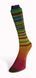 Пряжа Infinity Sock/Інфініті Сок, мультіколор-смуги 20, Laines du Nord 3909 фото 5