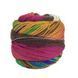 Пряжа Infinity Sock/Інфініті Сок, мультіколор-смуги 20, Laines du Nord 3909 фото 2