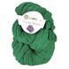 Пряжа Chunky Blanket/Чанкі Бланкет, темно-зелений PL176, Lady Yarn 5218 фото