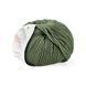 Vasto Yarn, olive 10, Laines du Nord