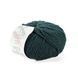 Vasto Yarn, dark green 11, Laines du Nord