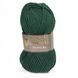 Пряжа Merino XL/Меріно ХЛ, зелений NW010, Lady Yarn 2489 фото