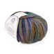 Svezia Fantasie Yarn, 13, Campolmi
