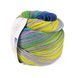 Пряжа Paint Sock 6 PLY/Паінт Сок 6 Плай, жовтий-бірюзовий-блакитний-молочний-фіолетовий 10, Laines du Nord 5169 фото