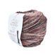 Пряжа Paint Gradient Sock/Пейнт Градієнт Сок, коричневий -болотяний-рожева пудра мультіколор 12, Laines du Nord 3718 фото