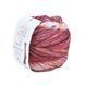 Пряжа Paint Gradient Sock/Пейнт Градієнт Сок, вишнево-молочний мультіколор 18, Laines du Nord 3913 фото