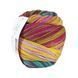 Пряжа Paint Sock 6 PLY/Паінт Сок 6 Плай, жовтий-бірюзовий-рожевий-малиновий-фіолетовий 12, Laines du Nord 5171 фото