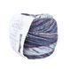 Пряжа Paint Gradient Sock/Пейнт Градієнт Сок, синьо-білий мультіколор 23, Laines du Nord 3918 фото