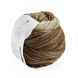 Пряжа Paint Gradient Sock/Пейнт Градієнт Сок, коричнево-бежевий мультіколор 14, Laines du Nord 2365 фото