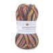 Sockwool Prime Multi Yarn, 17502, Performance
